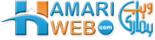 Hamariweb Logo