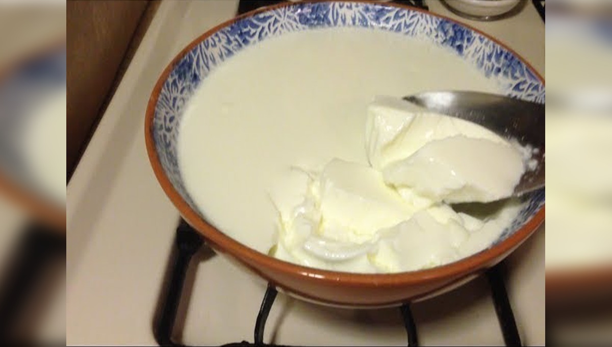 How to make yogurt at home and freeze it quickly!  So now get rid of outside yogurt and make delicious yogurt at home